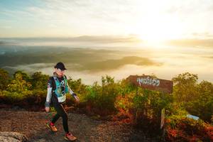 BIB: 241
                            <button type="button" onclick="openModal(21839697)" class="btn btn-primary btn-sm float-right btn-popup" data-toggle="modal" data-target=".modal-high-quality">
                        <i class="fas fa-shopping-cart"></i> Add to Cart
                    </button>
                                            <button type="button" onclick="isThisMe(21839697, true)" class="btn btn-success btn-sm float-right btn-popup btn-isme hidden" data-toggle="tooltip" data-placement="bottom" title="นี่คือรูปของคุณใช่ไหม คลิกที่นี่เพื่อเอาเข้าอัลบั้ม">
                        <i class="fas fa-plus"></i> Add to album
                    </button>
                    <button type="button" onclick="isThisMe(21839697, false)" class="btn btn-warning btn-sm float-right btn-popup btn-isnotme hidden">
                        <i class="fas fa-ban"></i> Remove from album
                    </button>