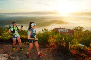 BIB: 
                            <button type="button" onclick="openModal(21839541)" class="btn btn-primary btn-sm float-right btn-popup" data-toggle="modal" data-target=".modal-high-quality">
                        <i class="fas fa-shopping-cart"></i> Add to Cart
                    </button>
                                            <button type="button" onclick="isThisMe(21839541, true)" class="btn btn-success btn-sm float-right btn-popup btn-isme hidden" data-toggle="tooltip" data-placement="bottom" title="นี่คือรูปของคุณใช่ไหม คลิกที่นี่เพื่อเอาเข้าอัลบั้ม">
                        <i class="fas fa-plus"></i> Add to album
                    </button>
                    <button type="button" onclick="isThisMe(21839541, false)" class="btn btn-warning btn-sm float-right btn-popup btn-isnotme hidden">
                        <i class="fas fa-ban"></i> Remove from album
                    </button>