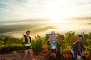 BIB: 248, 
                            <button type="button" onclick="openModal(21841216)" class="btn btn-primary btn-sm float-right btn-popup" data-toggle="modal" data-target=".modal-high-quality">
                        <i class="fas fa-shopping-cart"></i> Add to Cart
                    </button>
                                            <button type="button" onclick="isThisMe(21841216, true)" class="btn btn-success btn-sm float-right btn-popup btn-isme hidden" data-toggle="tooltip" data-placement="bottom" title="นี่คือรูปของคุณใช่ไหม คลิกที่นี่เพื่อเอาเข้าอัลบั้ม">
                        <i class="fas fa-plus"></i> Add to album
                    </button>
                    <button type="button" onclick="isThisMe(21841216, false)" class="btn btn-warning btn-sm float-right btn-popup btn-isnotme hidden">
                        <i class="fas fa-ban"></i> Remove from album
                    </button>