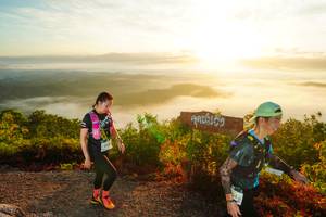 BIB: 242
                            <button type="button" onclick="openModal(21839801)" class="btn btn-primary btn-sm float-right btn-popup" data-toggle="modal" data-target=".modal-high-quality">
                        <i class="fas fa-shopping-cart"></i> Add to Cart
                    </button>
                                            <button type="button" onclick="isThisMe(21839801, true)" class="btn btn-success btn-sm float-right btn-popup btn-isme hidden" data-toggle="tooltip" data-placement="bottom" title="นี่คือรูปของคุณใช่ไหม คลิกที่นี่เพื่อเอาเข้าอัลบั้ม">
                        <i class="fas fa-plus"></i> Add to album
                    </button>
                    <button type="button" onclick="isThisMe(21839801, false)" class="btn btn-warning btn-sm float-right btn-popup btn-isnotme hidden">
                        <i class="fas fa-ban"></i> Remove from album
                    </button>