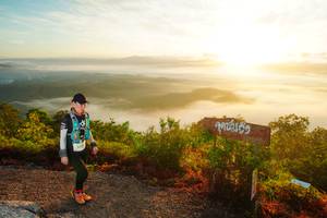 BIB: 247
                            <button type="button" onclick="openModal(21839665)" class="btn btn-primary btn-sm float-right btn-popup" data-toggle="modal" data-target=".modal-high-quality">
                        <i class="fas fa-shopping-cart"></i> Add to Cart
                    </button>
                                            <button type="button" onclick="isThisMe(21839665, true)" class="btn btn-success btn-sm float-right btn-popup btn-isme hidden" data-toggle="tooltip" data-placement="bottom" title="นี่คือรูปของคุณใช่ไหม คลิกที่นี่เพื่อเอาเข้าอัลบั้ม">
                        <i class="fas fa-plus"></i> Add to album
                    </button>
                    <button type="button" onclick="isThisMe(21839665, false)" class="btn btn-warning btn-sm float-right btn-popup btn-isnotme hidden">
                        <i class="fas fa-ban"></i> Remove from album
                    </button>