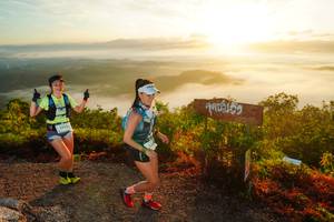 BIB: 3423
                            <button type="button" onclick="openModal(21839546)" class="btn btn-primary btn-sm float-right btn-popup" data-toggle="modal" data-target=".modal-high-quality">
                        <i class="fas fa-shopping-cart"></i> Add to Cart
                    </button>
                                            <button type="button" onclick="isThisMe(21839546, true)" class="btn btn-success btn-sm float-right btn-popup btn-isme hidden" data-toggle="tooltip" data-placement="bottom" title="นี่คือรูปของคุณใช่ไหม คลิกที่นี่เพื่อเอาเข้าอัลบั้ม">
                        <i class="fas fa-plus"></i> Add to album
                    </button>
                    <button type="button" onclick="isThisMe(21839546, false)" class="btn btn-warning btn-sm float-right btn-popup btn-isnotme hidden">
                        <i class="fas fa-ban"></i> Remove from album
                    </button>