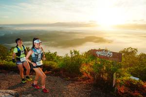 BIB: 243, 241
                            <button type="button" onclick="openModal(21839522)" class="btn btn-primary btn-sm float-right btn-popup" data-toggle="modal" data-target=".modal-high-quality">
                        <i class="fas fa-shopping-cart"></i> Add to Cart
                    </button>
                                            <button type="button" onclick="isThisMe(21839522, true)" class="btn btn-success btn-sm float-right btn-popup btn-isme hidden" data-toggle="tooltip" data-placement="bottom" title="นี่คือรูปของคุณใช่ไหม คลิกที่นี่เพื่อเอาเข้าอัลบั้ม">
                        <i class="fas fa-plus"></i> Add to album
                    </button>
                    <button type="button" onclick="isThisMe(21839522, false)" class="btn btn-warning btn-sm float-right btn-popup btn-isnotme hidden">
                        <i class="fas fa-ban"></i> Remove from album
                    </button>