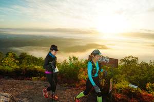 BIB: 
                            <button type="button" onclick="openModal(21840611)" class="btn btn-primary btn-sm float-right btn-popup" data-toggle="modal" data-target=".modal-high-quality">
                        <i class="fas fa-shopping-cart"></i> Add to Cart
                    </button>
                                            <button type="button" onclick="isThisMe(21840611, true)" class="btn btn-success btn-sm float-right btn-popup btn-isme hidden" data-toggle="tooltip" data-placement="bottom" title="นี่คือรูปของคุณใช่ไหม คลิกที่นี่เพื่อเอาเข้าอัลบั้ม">
                        <i class="fas fa-plus"></i> Add to album
                    </button>
                    <button type="button" onclick="isThisMe(21840611, false)" class="btn btn-warning btn-sm float-right btn-popup btn-isnotme hidden">
                        <i class="fas fa-ban"></i> Remove from album
                    </button>