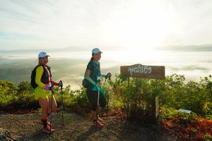 BIB: 
                            <button type="button" onclick="openModal(21891386)" class="btn btn-primary btn-sm float-right btn-popup" data-toggle="modal" data-target=".modal-high-quality">
                        <i class="fas fa-shopping-cart"></i> Add to Cart
                    </button>
                                            <button type="button" onclick="isThisMe(21891386, true)" class="btn btn-success btn-sm float-right btn-popup btn-isme hidden" data-toggle="tooltip" data-placement="bottom" title="นี่คือรูปของคุณใช่ไหม คลิกที่นี่เพื่อเอาเข้าอัลบั้ม">
                        <i class="fas fa-plus"></i> Add to album
                    </button>
                    <button type="button" onclick="isThisMe(21891386, false)" class="btn btn-warning btn-sm float-right btn-popup btn-isnotme hidden">
                        <i class="fas fa-ban"></i> Remove from album
                    </button>