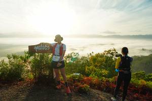 BIB: 2059
                            <button type="button" onclick="openModal(21887477)" class="btn btn-primary btn-sm float-right btn-popup" data-toggle="modal" data-target=".modal-high-quality">
                        <i class="fas fa-shopping-cart"></i> Add to Cart
                    </button>
                                            <button type="button" onclick="isThisMe(21887477, true)" class="btn btn-success btn-sm float-right btn-popup btn-isme hidden" data-toggle="tooltip" data-placement="bottom" title="นี่คือรูปของคุณใช่ไหม คลิกที่นี่เพื่อเอาเข้าอัลบั้ม">
                        <i class="fas fa-plus"></i> Add to album
                    </button>
                    <button type="button" onclick="isThisMe(21887477, false)" class="btn btn-warning btn-sm float-right btn-popup btn-isnotme hidden">
                        <i class="fas fa-ban"></i> Remove from album
                    </button>