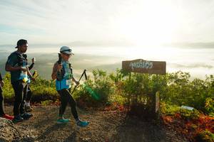 BIB: 2005
                            <button type="button" onclick="openModal(21890720)" class="btn btn-primary btn-sm float-right btn-popup" data-toggle="modal" data-target=".modal-high-quality">
                        <i class="fas fa-shopping-cart"></i> Add to Cart
                    </button>
                                            <button type="button" onclick="isThisMe(21890720, true)" class="btn btn-success btn-sm float-right btn-popup btn-isme hidden" data-toggle="tooltip" data-placement="bottom" title="นี่คือรูปของคุณใช่ไหม คลิกที่นี่เพื่อเอาเข้าอัลบั้ม">
                        <i class="fas fa-plus"></i> Add to album
                    </button>
                    <button type="button" onclick="isThisMe(21890720, false)" class="btn btn-warning btn-sm float-right btn-popup btn-isnotme hidden">
                        <i class="fas fa-ban"></i> Remove from album
                    </button>