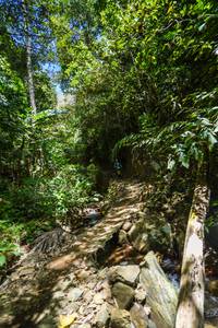 BIB: 
                            <button type="button" onclick="openModal(21757822)" class="btn btn-primary btn-sm float-right btn-popup" data-toggle="modal" data-target=".modal-high-quality">
                        <i class="fas fa-shopping-cart"></i> Add to Cart
                    </button>
                                            <button type="button" onclick="isThisMe(21757822, true)" class="btn btn-success btn-sm float-right btn-popup btn-isme hidden" data-toggle="tooltip" data-placement="bottom" title="นี่คือรูปของคุณใช่ไหม คลิกที่นี่เพื่อเอาเข้าอัลบั้ม">
                        <i class="fas fa-plus"></i> Add to album
                    </button>
                    <button type="button" onclick="isThisMe(21757822, false)" class="btn btn-warning btn-sm float-right btn-popup btn-isnotme hidden">
                        <i class="fas fa-ban"></i> Remove from album
                    </button>