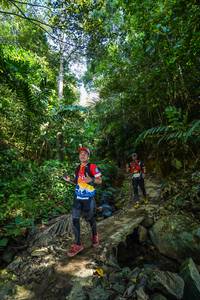 BIB: 
                            <button type="button" onclick="openModal(21763919)" class="btn btn-primary btn-sm float-right btn-popup" data-toggle="modal" data-target=".modal-high-quality">
                        <i class="fas fa-shopping-cart"></i> Add to Cart
                    </button>
                                            <button type="button" onclick="isThisMe(21763919, true)" class="btn btn-success btn-sm float-right btn-popup btn-isme hidden" data-toggle="tooltip" data-placement="bottom" title="นี่คือรูปของคุณใช่ไหม คลิกที่นี่เพื่อเอาเข้าอัลบั้ม">
                        <i class="fas fa-plus"></i> Add to album
                    </button>
                    <button type="button" onclick="isThisMe(21763919, false)" class="btn btn-warning btn-sm float-right btn-popup btn-isnotme hidden">
                        <i class="fas fa-ban"></i> Remove from album
                    </button>