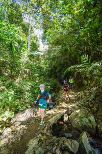 BIB: 
                            <button type="button" onclick="openModal(21757203)" class="btn btn-primary btn-sm float-right btn-popup" data-toggle="modal" data-target=".modal-high-quality">
                        <i class="fas fa-shopping-cart"></i> Add to Cart
                    </button>
                                            <button type="button" onclick="isThisMe(21757203, true)" class="btn btn-success btn-sm float-right btn-popup btn-isme hidden" data-toggle="tooltip" data-placement="bottom" title="นี่คือรูปของคุณใช่ไหม คลิกที่นี่เพื่อเอาเข้าอัลบั้ม">
                        <i class="fas fa-plus"></i> Add to album
                    </button>
                    <button type="button" onclick="isThisMe(21757203, false)" class="btn btn-warning btn-sm float-right btn-popup btn-isnotme hidden">
                        <i class="fas fa-ban"></i> Remove from album
                    </button>