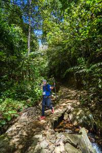 BIB: 
                            <button type="button" onclick="openModal(21757857)" class="btn btn-primary btn-sm float-right btn-popup" data-toggle="modal" data-target=".modal-high-quality">
                        <i class="fas fa-shopping-cart"></i> Add to Cart
                    </button>
                                            <button type="button" onclick="isThisMe(21757857, true)" class="btn btn-success btn-sm float-right btn-popup btn-isme hidden" data-toggle="tooltip" data-placement="bottom" title="นี่คือรูปของคุณใช่ไหม คลิกที่นี่เพื่อเอาเข้าอัลบั้ม">
                        <i class="fas fa-plus"></i> Add to album
                    </button>
                    <button type="button" onclick="isThisMe(21757857, false)" class="btn btn-warning btn-sm float-right btn-popup btn-isnotme hidden">
                        <i class="fas fa-ban"></i> Remove from album
                    </button>