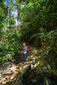 BIB: 
                            <button type="button" onclick="openModal(21757411)" class="btn btn-primary btn-sm float-right btn-popup" data-toggle="modal" data-target=".modal-high-quality">
                        <i class="fas fa-shopping-cart"></i> Add to Cart
                    </button>
                                            <button type="button" onclick="isThisMe(21757411, true)" class="btn btn-success btn-sm float-right btn-popup btn-isme hidden" data-toggle="tooltip" data-placement="bottom" title="นี่คือรูปของคุณใช่ไหม คลิกที่นี่เพื่อเอาเข้าอัลบั้ม">
                        <i class="fas fa-plus"></i> Add to album
                    </button>
                    <button type="button" onclick="isThisMe(21757411, false)" class="btn btn-warning btn-sm float-right btn-popup btn-isnotme hidden">
                        <i class="fas fa-ban"></i> Remove from album
                    </button>