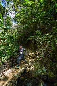 BIB: 
                            <button type="button" onclick="openModal(21757422)" class="btn btn-primary btn-sm float-right btn-popup" data-toggle="modal" data-target=".modal-high-quality">
                        <i class="fas fa-shopping-cart"></i> Add to Cart
                    </button>
                                            <button type="button" onclick="isThisMe(21757422, true)" class="btn btn-success btn-sm float-right btn-popup btn-isme hidden" data-toggle="tooltip" data-placement="bottom" title="นี่คือรูปของคุณใช่ไหม คลิกที่นี่เพื่อเอาเข้าอัลบั้ม">
                        <i class="fas fa-plus"></i> Add to album
                    </button>
                    <button type="button" onclick="isThisMe(21757422, false)" class="btn btn-warning btn-sm float-right btn-popup btn-isnotme hidden">
                        <i class="fas fa-ban"></i> Remove from album
                    </button>