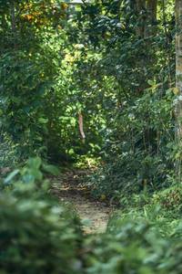 BIB: 
                            <button type="button" onclick="openModal(21758038)" class="btn btn-primary btn-sm float-right btn-popup" data-toggle="modal" data-target=".modal-high-quality">
                        <i class="fas fa-shopping-cart"></i> Add to Cart
                    </button>
                                            <button type="button" onclick="isThisMe(21758038, true)" class="btn btn-success btn-sm float-right btn-popup btn-isme hidden" data-toggle="tooltip" data-placement="bottom" title="นี่คือรูปของคุณใช่ไหม คลิกที่นี่เพื่อเอาเข้าอัลบั้ม">
                        <i class="fas fa-plus"></i> Add to album
                    </button>
                    <button type="button" onclick="isThisMe(21758038, false)" class="btn btn-warning btn-sm float-right btn-popup btn-isnotme hidden">
                        <i class="fas fa-ban"></i> Remove from album
                    </button>