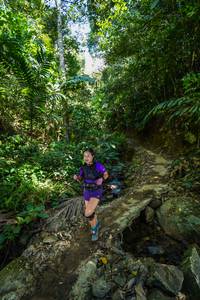 BIB: 
                            <button type="button" onclick="openModal(21756136)" class="btn btn-primary btn-sm float-right btn-popup" data-toggle="modal" data-target=".modal-high-quality">
                        <i class="fas fa-shopping-cart"></i> Add to Cart
                    </button>
                                            <button type="button" onclick="isThisMe(21756136, true)" class="btn btn-success btn-sm float-right btn-popup btn-isme hidden" data-toggle="tooltip" data-placement="bottom" title="นี่คือรูปของคุณใช่ไหม คลิกที่นี่เพื่อเอาเข้าอัลบั้ม">
                        <i class="fas fa-plus"></i> Add to album
                    </button>
                    <button type="button" onclick="isThisMe(21756136, false)" class="btn btn-warning btn-sm float-right btn-popup btn-isnotme hidden">
                        <i class="fas fa-ban"></i> Remove from album
                    </button>