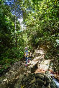 BIB: 
                            <button type="button" onclick="openModal(21758023)" class="btn btn-primary btn-sm float-right btn-popup" data-toggle="modal" data-target=".modal-high-quality">
                        <i class="fas fa-shopping-cart"></i> Add to Cart
                    </button>
                                            <button type="button" onclick="isThisMe(21758023, true)" class="btn btn-success btn-sm float-right btn-popup btn-isme hidden" data-toggle="tooltip" data-placement="bottom" title="นี่คือรูปของคุณใช่ไหม คลิกที่นี่เพื่อเอาเข้าอัลบั้ม">
                        <i class="fas fa-plus"></i> Add to album
                    </button>
                    <button type="button" onclick="isThisMe(21758023, false)" class="btn btn-warning btn-sm float-right btn-popup btn-isnotme hidden">
                        <i class="fas fa-ban"></i> Remove from album
                    </button>