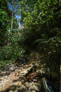 BIB: 
                            <button type="button" onclick="openModal(21757599)" class="btn btn-primary btn-sm float-right btn-popup" data-toggle="modal" data-target=".modal-high-quality">
                        <i class="fas fa-shopping-cart"></i> Add to Cart
                    </button>
                                            <button type="button" onclick="isThisMe(21757599, true)" class="btn btn-success btn-sm float-right btn-popup btn-isme hidden" data-toggle="tooltip" data-placement="bottom" title="นี่คือรูปของคุณใช่ไหม คลิกที่นี่เพื่อเอาเข้าอัลบั้ม">
                        <i class="fas fa-plus"></i> Add to album
                    </button>
                    <button type="button" onclick="isThisMe(21757599, false)" class="btn btn-warning btn-sm float-right btn-popup btn-isnotme hidden">
                        <i class="fas fa-ban"></i> Remove from album
                    </button>