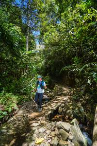 BIB: 
                            <button type="button" onclick="openModal(21757817)" class="btn btn-primary btn-sm float-right btn-popup" data-toggle="modal" data-target=".modal-high-quality">
                        <i class="fas fa-shopping-cart"></i> Add to Cart
                    </button>
                                            <button type="button" onclick="isThisMe(21757817, true)" class="btn btn-success btn-sm float-right btn-popup btn-isme hidden" data-toggle="tooltip" data-placement="bottom" title="นี่คือรูปของคุณใช่ไหม คลิกที่นี่เพื่อเอาเข้าอัลบั้ม">
                        <i class="fas fa-plus"></i> Add to album
                    </button>
                    <button type="button" onclick="isThisMe(21757817, false)" class="btn btn-warning btn-sm float-right btn-popup btn-isnotme hidden">
                        <i class="fas fa-ban"></i> Remove from album
                    </button>