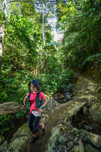 BIB: 55341
                            <button type="button" onclick="openModal(21756269)" class="btn btn-primary btn-sm float-right btn-popup" data-toggle="modal" data-target=".modal-high-quality">
                        <i class="fas fa-shopping-cart"></i> Add to Cart
                    </button>
                                            <button type="button" onclick="isThisMe(21756269, true)" class="btn btn-success btn-sm float-right btn-popup btn-isme hidden" data-toggle="tooltip" data-placement="bottom" title="นี่คือรูปของคุณใช่ไหม คลิกที่นี่เพื่อเอาเข้าอัลบั้ม">
                        <i class="fas fa-plus"></i> Add to album
                    </button>
                    <button type="button" onclick="isThisMe(21756269, false)" class="btn btn-warning btn-sm float-right btn-popup btn-isnotme hidden">
                        <i class="fas fa-ban"></i> Remove from album
                    </button>