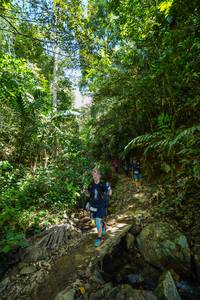 BIB: 
                            <button type="button" onclick="openModal(21756664)" class="btn btn-primary btn-sm float-right btn-popup" data-toggle="modal" data-target=".modal-high-quality">
                        <i class="fas fa-shopping-cart"></i> Add to Cart
                    </button>
                                            <button type="button" onclick="isThisMe(21756664, true)" class="btn btn-success btn-sm float-right btn-popup btn-isme hidden" data-toggle="tooltip" data-placement="bottom" title="นี่คือรูปของคุณใช่ไหม คลิกที่นี่เพื่อเอาเข้าอัลบั้ม">
                        <i class="fas fa-plus"></i> Add to album
                    </button>
                    <button type="button" onclick="isThisMe(21756664, false)" class="btn btn-warning btn-sm float-right btn-popup btn-isnotme hidden">
                        <i class="fas fa-ban"></i> Remove from album
                    </button>