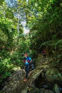 BIB: 
                            <button type="button" onclick="openModal(21756428)" class="btn btn-primary btn-sm float-right btn-popup" data-toggle="modal" data-target=".modal-high-quality">
                        <i class="fas fa-shopping-cart"></i> Add to Cart
                    </button>
                                            <button type="button" onclick="isThisMe(21756428, true)" class="btn btn-success btn-sm float-right btn-popup btn-isme hidden" data-toggle="tooltip" data-placement="bottom" title="นี่คือรูปของคุณใช่ไหม คลิกที่นี่เพื่อเอาเข้าอัลบั้ม">
                        <i class="fas fa-plus"></i> Add to album
                    </button>
                    <button type="button" onclick="isThisMe(21756428, false)" class="btn btn-warning btn-sm float-right btn-popup btn-isnotme hidden">
                        <i class="fas fa-ban"></i> Remove from album
                    </button>