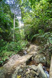 BIB: 
                            <button type="button" onclick="openModal(21757936)" class="btn btn-primary btn-sm float-right btn-popup" data-toggle="modal" data-target=".modal-high-quality">
                        <i class="fas fa-shopping-cart"></i> Add to Cart
                    </button>
                                            <button type="button" onclick="isThisMe(21757936, true)" class="btn btn-success btn-sm float-right btn-popup btn-isme hidden" data-toggle="tooltip" data-placement="bottom" title="นี่คือรูปของคุณใช่ไหม คลิกที่นี่เพื่อเอาเข้าอัลบั้ม">
                        <i class="fas fa-plus"></i> Add to album
                    </button>
                    <button type="button" onclick="isThisMe(21757936, false)" class="btn btn-warning btn-sm float-right btn-popup btn-isnotme hidden">
                        <i class="fas fa-ban"></i> Remove from album
                    </button>