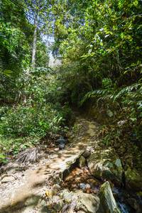 BIB: 
                            <button type="button" onclick="openModal(21757597)" class="btn btn-primary btn-sm float-right btn-popup" data-toggle="modal" data-target=".modal-high-quality">
                        <i class="fas fa-shopping-cart"></i> Add to Cart
                    </button>
                                            <button type="button" onclick="isThisMe(21757597, true)" class="btn btn-success btn-sm float-right btn-popup btn-isme hidden" data-toggle="tooltip" data-placement="bottom" title="นี่คือรูปของคุณใช่ไหม คลิกที่นี่เพื่อเอาเข้าอัลบั้ม">
                        <i class="fas fa-plus"></i> Add to album
                    </button>
                    <button type="button" onclick="isThisMe(21757597, false)" class="btn btn-warning btn-sm float-right btn-popup btn-isnotme hidden">
                        <i class="fas fa-ban"></i> Remove from album
                    </button>