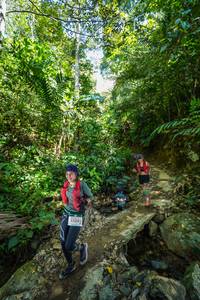 BIB: 5559
                            <button type="button" onclick="openModal(21756260)" class="btn btn-primary btn-sm float-right btn-popup" data-toggle="modal" data-target=".modal-high-quality">
                        <i class="fas fa-shopping-cart"></i> Add to Cart
                    </button>
                                            <button type="button" onclick="isThisMe(21756260, true)" class="btn btn-success btn-sm float-right btn-popup btn-isme hidden" data-toggle="tooltip" data-placement="bottom" title="นี่คือรูปของคุณใช่ไหม คลิกที่นี่เพื่อเอาเข้าอัลบั้ม">
                        <i class="fas fa-plus"></i> Add to album
                    </button>
                    <button type="button" onclick="isThisMe(21756260, false)" class="btn btn-warning btn-sm float-right btn-popup btn-isnotme hidden">
                        <i class="fas fa-ban"></i> Remove from album
                    </button>