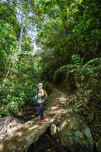 BIB: 
                            <button type="button" onclick="openModal(21757365)" class="btn btn-primary btn-sm float-right btn-popup" data-toggle="modal" data-target=".modal-high-quality">
                        <i class="fas fa-shopping-cart"></i> Add to Cart
                    </button>
                                            <button type="button" onclick="isThisMe(21757365, true)" class="btn btn-success btn-sm float-right btn-popup btn-isme hidden" data-toggle="tooltip" data-placement="bottom" title="นี่คือรูปของคุณใช่ไหม คลิกที่นี่เพื่อเอาเข้าอัลบั้ม">
                        <i class="fas fa-plus"></i> Add to album
                    </button>
                    <button type="button" onclick="isThisMe(21757365, false)" class="btn btn-warning btn-sm float-right btn-popup btn-isnotme hidden">
                        <i class="fas fa-ban"></i> Remove from album
                    </button>