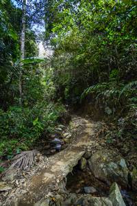 BIB: 
                            <button type="button" onclick="openModal(21757947)" class="btn btn-primary btn-sm float-right btn-popup" data-toggle="modal" data-target=".modal-high-quality">
                        <i class="fas fa-shopping-cart"></i> Add to Cart
                    </button>
                                            <button type="button" onclick="isThisMe(21757947, true)" class="btn btn-success btn-sm float-right btn-popup btn-isme hidden" data-toggle="tooltip" data-placement="bottom" title="นี่คือรูปของคุณใช่ไหม คลิกที่นี่เพื่อเอาเข้าอัลบั้ม">
                        <i class="fas fa-plus"></i> Add to album
                    </button>
                    <button type="button" onclick="isThisMe(21757947, false)" class="btn btn-warning btn-sm float-right btn-popup btn-isnotme hidden">
                        <i class="fas fa-ban"></i> Remove from album
                    </button>