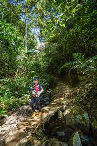 BIB: 
                            <button type="button" onclick="openModal(21757436)" class="btn btn-primary btn-sm float-right btn-popup" data-toggle="modal" data-target=".modal-high-quality">
                        <i class="fas fa-shopping-cart"></i> Add to Cart
                    </button>
                                            <button type="button" onclick="isThisMe(21757436, true)" class="btn btn-success btn-sm float-right btn-popup btn-isme hidden" data-toggle="tooltip" data-placement="bottom" title="นี่คือรูปของคุณใช่ไหม คลิกที่นี่เพื่อเอาเข้าอัลบั้ม">
                        <i class="fas fa-plus"></i> Add to album
                    </button>
                    <button type="button" onclick="isThisMe(21757436, false)" class="btn btn-warning btn-sm float-right btn-popup btn-isnotme hidden">
                        <i class="fas fa-ban"></i> Remove from album
                    </button>