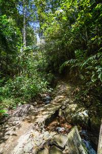 BIB: 
                            <button type="button" onclick="openModal(21757667)" class="btn btn-primary btn-sm float-right btn-popup" data-toggle="modal" data-target=".modal-high-quality">
                        <i class="fas fa-shopping-cart"></i> Add to Cart
                    </button>
                                            <button type="button" onclick="isThisMe(21757667, true)" class="btn btn-success btn-sm float-right btn-popup btn-isme hidden" data-toggle="tooltip" data-placement="bottom" title="นี่คือรูปของคุณใช่ไหม คลิกที่นี่เพื่อเอาเข้าอัลบั้ม">
                        <i class="fas fa-plus"></i> Add to album
                    </button>
                    <button type="button" onclick="isThisMe(21757667, false)" class="btn btn-warning btn-sm float-right btn-popup btn-isnotme hidden">
                        <i class="fas fa-ban"></i> Remove from album
                    </button>