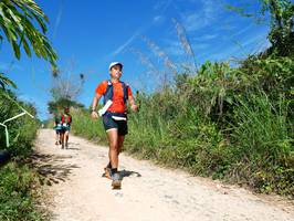 BIB: 
                            <button type="button" onclick="openModal(21733719)" class="btn btn-primary btn-sm float-right btn-popup" data-toggle="modal" data-target=".modal-high-quality">
                        <i class="fas fa-shopping-cart"></i> Add to Cart
                    </button>
                                            <button type="button" onclick="isThisMe(21733719, true)" class="btn btn-success btn-sm float-right btn-popup btn-isme hidden" data-toggle="tooltip" data-placement="bottom" title="นี่คือรูปของคุณใช่ไหม คลิกที่นี่เพื่อเอาเข้าอัลบั้ม">
                        <i class="fas fa-plus"></i> Add to album
                    </button>
                    <button type="button" onclick="isThisMe(21733719, false)" class="btn btn-warning btn-sm float-right btn-popup btn-isnotme hidden">
                        <i class="fas fa-ban"></i> Remove from album
                    </button>