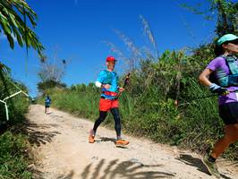 BIB: 
                            <button type="button" onclick="openModal(21733558)" class="btn btn-primary btn-sm float-right btn-popup" data-toggle="modal" data-target=".modal-high-quality">
                        <i class="fas fa-shopping-cart"></i> Add to Cart
                    </button>
                                            <button type="button" onclick="isThisMe(21733558, true)" class="btn btn-success btn-sm float-right btn-popup btn-isme hidden" data-toggle="tooltip" data-placement="bottom" title="นี่คือรูปของคุณใช่ไหม คลิกที่นี่เพื่อเอาเข้าอัลบั้ม">
                        <i class="fas fa-plus"></i> Add to album
                    </button>
                    <button type="button" onclick="isThisMe(21733558, false)" class="btn btn-warning btn-sm float-right btn-popup btn-isnotme hidden">
                        <i class="fas fa-ban"></i> Remove from album
                    </button>