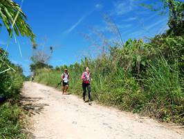 BIB: 
                            <button type="button" onclick="openModal(21733712)" class="btn btn-primary btn-sm float-right btn-popup" data-toggle="modal" data-target=".modal-high-quality">
                        <i class="fas fa-shopping-cart"></i> Add to Cart
                    </button>
                                            <button type="button" onclick="isThisMe(21733712, true)" class="btn btn-success btn-sm float-right btn-popup btn-isme hidden" data-toggle="tooltip" data-placement="bottom" title="นี่คือรูปของคุณใช่ไหม คลิกที่นี่เพื่อเอาเข้าอัลบั้ม">
                        <i class="fas fa-plus"></i> Add to album
                    </button>
                    <button type="button" onclick="isThisMe(21733712, false)" class="btn btn-warning btn-sm float-right btn-popup btn-isnotme hidden">
                        <i class="fas fa-ban"></i> Remove from album
                    </button>