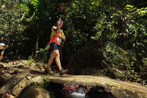 BIB: 
                            <button type="button" onclick="openModal(21747069)" class="btn btn-primary btn-sm float-right btn-popup" data-toggle="modal" data-target=".modal-high-quality">
                        <i class="fas fa-shopping-cart"></i> Add to Cart
                    </button>
                                            <button type="button" onclick="isThisMe(21747069, true)" class="btn btn-success btn-sm float-right btn-popup btn-isme hidden" data-toggle="tooltip" data-placement="bottom" title="นี่คือรูปของคุณใช่ไหม คลิกที่นี่เพื่อเอาเข้าอัลบั้ม">
                        <i class="fas fa-plus"></i> Add to album
                    </button>
                    <button type="button" onclick="isThisMe(21747069, false)" class="btn btn-warning btn-sm float-right btn-popup btn-isnotme hidden">
                        <i class="fas fa-ban"></i> Remove from album
                    </button>