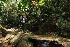 BIB: 
                            <button type="button" onclick="openModal(21740543)" class="btn btn-primary btn-sm float-right btn-popup" data-toggle="modal" data-target=".modal-high-quality">
                        <i class="fas fa-shopping-cart"></i> Add to Cart
                    </button>
                                            <button type="button" onclick="isThisMe(21740543, true)" class="btn btn-success btn-sm float-right btn-popup btn-isme hidden" data-toggle="tooltip" data-placement="bottom" title="นี่คือรูปของคุณใช่ไหม คลิกที่นี่เพื่อเอาเข้าอัลบั้ม">
                        <i class="fas fa-plus"></i> Add to album
                    </button>
                    <button type="button" onclick="isThisMe(21740543, false)" class="btn btn-warning btn-sm float-right btn-popup btn-isnotme hidden">
                        <i class="fas fa-ban"></i> Remove from album
                    </button>