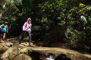 BIB: 
                            <button type="button" onclick="openModal(21745972)" class="btn btn-primary btn-sm float-right btn-popup" data-toggle="modal" data-target=".modal-high-quality">
                        <i class="fas fa-shopping-cart"></i> Add to Cart
                    </button>
                                            <button type="button" onclick="isThisMe(21745972, true)" class="btn btn-success btn-sm float-right btn-popup btn-isme hidden" data-toggle="tooltip" data-placement="bottom" title="นี่คือรูปของคุณใช่ไหม คลิกที่นี่เพื่อเอาเข้าอัลบั้ม">
                        <i class="fas fa-plus"></i> Add to album
                    </button>
                    <button type="button" onclick="isThisMe(21745972, false)" class="btn btn-warning btn-sm float-right btn-popup btn-isnotme hidden">
                        <i class="fas fa-ban"></i> Remove from album
                    </button>