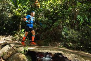 BIB: 
                            <button type="button" onclick="openModal(21743016)" class="btn btn-primary btn-sm float-right btn-popup" data-toggle="modal" data-target=".modal-high-quality">
                        <i class="fas fa-shopping-cart"></i> Add to Cart
                    </button>
                                            <button type="button" onclick="isThisMe(21743016, true)" class="btn btn-success btn-sm float-right btn-popup btn-isme hidden" data-toggle="tooltip" data-placement="bottom" title="นี่คือรูปของคุณใช่ไหม คลิกที่นี่เพื่อเอาเข้าอัลบั้ม">
                        <i class="fas fa-plus"></i> Add to album
                    </button>
                    <button type="button" onclick="isThisMe(21743016, false)" class="btn btn-warning btn-sm float-right btn-popup btn-isnotme hidden">
                        <i class="fas fa-ban"></i> Remove from album
                    </button>