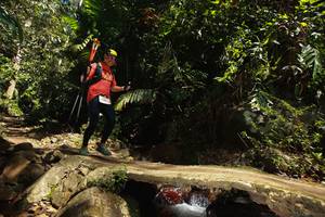 BIB: 
                            <button type="button" onclick="openModal(21747021)" class="btn btn-primary btn-sm float-right btn-popup" data-toggle="modal" data-target=".modal-high-quality">
                        <i class="fas fa-shopping-cart"></i> Add to Cart
                    </button>
                                            <button type="button" onclick="isThisMe(21747021, true)" class="btn btn-success btn-sm float-right btn-popup btn-isme hidden" data-toggle="tooltip" data-placement="bottom" title="นี่คือรูปของคุณใช่ไหม คลิกที่นี่เพื่อเอาเข้าอัลบั้ม">
                        <i class="fas fa-plus"></i> Add to album
                    </button>
                    <button type="button" onclick="isThisMe(21747021, false)" class="btn btn-warning btn-sm float-right btn-popup btn-isnotme hidden">
                        <i class="fas fa-ban"></i> Remove from album
                    </button>