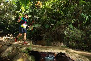 BIB: 
                            <button type="button" onclick="openModal(21740451)" class="btn btn-primary btn-sm float-right btn-popup" data-toggle="modal" data-target=".modal-high-quality">
                        <i class="fas fa-shopping-cart"></i> Add to Cart
                    </button>
                                            <button type="button" onclick="isThisMe(21740451, true)" class="btn btn-success btn-sm float-right btn-popup btn-isme hidden" data-toggle="tooltip" data-placement="bottom" title="นี่คือรูปของคุณใช่ไหม คลิกที่นี่เพื่อเอาเข้าอัลบั้ม">
                        <i class="fas fa-plus"></i> Add to album
                    </button>
                    <button type="button" onclick="isThisMe(21740451, false)" class="btn btn-warning btn-sm float-right btn-popup btn-isnotme hidden">
                        <i class="fas fa-ban"></i> Remove from album
                    </button>