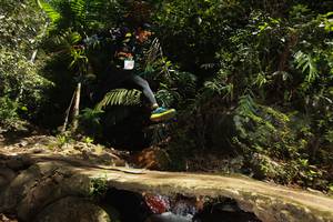 BIB: 312
                            <button type="button" onclick="openModal(21749178)" class="btn btn-primary btn-sm float-right btn-popup" data-toggle="modal" data-target=".modal-high-quality">
                        <i class="fas fa-shopping-cart"></i> Add to Cart
                    </button>
                                            <button type="button" onclick="isThisMe(21749178, true)" class="btn btn-success btn-sm float-right btn-popup btn-isme hidden" data-toggle="tooltip" data-placement="bottom" title="นี่คือรูปของคุณใช่ไหม คลิกที่นี่เพื่อเอาเข้าอัลบั้ม">
                        <i class="fas fa-plus"></i> Add to album
                    </button>
                    <button type="button" onclick="isThisMe(21749178, false)" class="btn btn-warning btn-sm float-right btn-popup btn-isnotme hidden">
                        <i class="fas fa-ban"></i> Remove from album
                    </button>