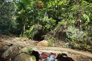 BIB: 
                            <button type="button" onclick="openModal(21751035)" class="btn btn-primary btn-sm float-right btn-popup" data-toggle="modal" data-target=".modal-high-quality">
                        <i class="fas fa-shopping-cart"></i> Add to Cart
                    </button>
                                            <button type="button" onclick="isThisMe(21751035, true)" class="btn btn-success btn-sm float-right btn-popup btn-isme hidden" data-toggle="tooltip" data-placement="bottom" title="นี่คือรูปของคุณใช่ไหม คลิกที่นี่เพื่อเอาเข้าอัลบั้ม">
                        <i class="fas fa-plus"></i> Add to album
                    </button>
                    <button type="button" onclick="isThisMe(21751035, false)" class="btn btn-warning btn-sm float-right btn-popup btn-isnotme hidden">
                        <i class="fas fa-ban"></i> Remove from album
                    </button>