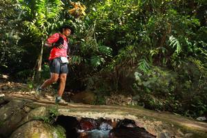 BIB: 
                            <button type="button" onclick="openModal(21737532)" class="btn btn-primary btn-sm float-right btn-popup" data-toggle="modal" data-target=".modal-high-quality">
                        <i class="fas fa-shopping-cart"></i> Add to Cart
                    </button>
                                            <button type="button" onclick="isThisMe(21737532, true)" class="btn btn-success btn-sm float-right btn-popup btn-isme hidden" data-toggle="tooltip" data-placement="bottom" title="นี่คือรูปของคุณใช่ไหม คลิกที่นี่เพื่อเอาเข้าอัลบั้ม">
                        <i class="fas fa-plus"></i> Add to album
                    </button>
                    <button type="button" onclick="isThisMe(21737532, false)" class="btn btn-warning btn-sm float-right btn-popup btn-isnotme hidden">
                        <i class="fas fa-ban"></i> Remove from album
                    </button>