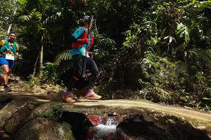 BIB: 
                            <button type="button" onclick="openModal(21749539)" class="btn btn-primary btn-sm float-right btn-popup" data-toggle="modal" data-target=".modal-high-quality">
                        <i class="fas fa-shopping-cart"></i> Add to Cart
                    </button>
                                            <button type="button" onclick="isThisMe(21749539, true)" class="btn btn-success btn-sm float-right btn-popup btn-isme hidden" data-toggle="tooltip" data-placement="bottom" title="นี่คือรูปของคุณใช่ไหม คลิกที่นี่เพื่อเอาเข้าอัลบั้ม">
                        <i class="fas fa-plus"></i> Add to album
                    </button>
                    <button type="button" onclick="isThisMe(21749539, false)" class="btn btn-warning btn-sm float-right btn-popup btn-isnotme hidden">
                        <i class="fas fa-ban"></i> Remove from album
                    </button>