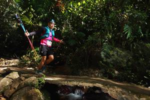 BIB: 
                            <button type="button" onclick="openModal(21743275)" class="btn btn-primary btn-sm float-right btn-popup" data-toggle="modal" data-target=".modal-high-quality">
                        <i class="fas fa-shopping-cart"></i> Add to Cart
                    </button>
                                            <button type="button" onclick="isThisMe(21743275, true)" class="btn btn-success btn-sm float-right btn-popup btn-isme hidden" data-toggle="tooltip" data-placement="bottom" title="นี่คือรูปของคุณใช่ไหม คลิกที่นี่เพื่อเอาเข้าอัลบั้ม">
                        <i class="fas fa-plus"></i> Add to album
                    </button>
                    <button type="button" onclick="isThisMe(21743275, false)" class="btn btn-warning btn-sm float-right btn-popup btn-isnotme hidden">
                        <i class="fas fa-ban"></i> Remove from album
                    </button>