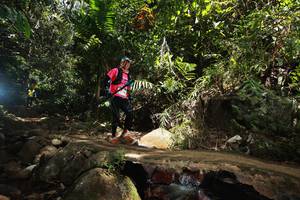 BIB: 
                            <button type="button" onclick="openModal(21751103)" class="btn btn-primary btn-sm float-right btn-popup" data-toggle="modal" data-target=".modal-high-quality">
                        <i class="fas fa-shopping-cart"></i> Add to Cart
                    </button>
                                            <button type="button" onclick="isThisMe(21751103, true)" class="btn btn-success btn-sm float-right btn-popup btn-isme hidden" data-toggle="tooltip" data-placement="bottom" title="นี่คือรูปของคุณใช่ไหม คลิกที่นี่เพื่อเอาเข้าอัลบั้ม">
                        <i class="fas fa-plus"></i> Add to album
                    </button>
                    <button type="button" onclick="isThisMe(21751103, false)" class="btn btn-warning btn-sm float-right btn-popup btn-isnotme hidden">
                        <i class="fas fa-ban"></i> Remove from album
                    </button>