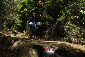 BIB: 
                            <button type="button" onclick="openModal(21749751)" class="btn btn-primary btn-sm float-right btn-popup" data-toggle="modal" data-target=".modal-high-quality">
                        <i class="fas fa-shopping-cart"></i> Add to Cart
                    </button>
                                            <button type="button" onclick="isThisMe(21749751, true)" class="btn btn-success btn-sm float-right btn-popup btn-isme hidden" data-toggle="tooltip" data-placement="bottom" title="นี่คือรูปของคุณใช่ไหม คลิกที่นี่เพื่อเอาเข้าอัลบั้ม">
                        <i class="fas fa-plus"></i> Add to album
                    </button>
                    <button type="button" onclick="isThisMe(21749751, false)" class="btn btn-warning btn-sm float-right btn-popup btn-isnotme hidden">
                        <i class="fas fa-ban"></i> Remove from album
                    </button>