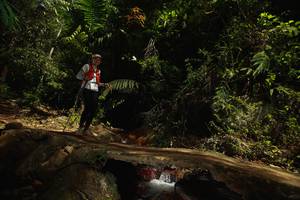 BIB: 
                            <button type="button" onclick="openModal(21749890)" class="btn btn-primary btn-sm float-right btn-popup" data-toggle="modal" data-target=".modal-high-quality">
                        <i class="fas fa-shopping-cart"></i> Add to Cart
                    </button>
                                            <button type="button" onclick="isThisMe(21749890, true)" class="btn btn-success btn-sm float-right btn-popup btn-isme hidden" data-toggle="tooltip" data-placement="bottom" title="นี่คือรูปของคุณใช่ไหม คลิกที่นี่เพื่อเอาเข้าอัลบั้ม">
                        <i class="fas fa-plus"></i> Add to album
                    </button>
                    <button type="button" onclick="isThisMe(21749890, false)" class="btn btn-warning btn-sm float-right btn-popup btn-isnotme hidden">
                        <i class="fas fa-ban"></i> Remove from album
                    </button>