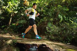 BIB: 
                            <button type="button" onclick="openModal(21737859)" class="btn btn-primary btn-sm float-right btn-popup" data-toggle="modal" data-target=".modal-high-quality">
                        <i class="fas fa-shopping-cart"></i> Add to Cart
                    </button>
                                            <button type="button" onclick="isThisMe(21737859, true)" class="btn btn-success btn-sm float-right btn-popup btn-isme hidden" data-toggle="tooltip" data-placement="bottom" title="นี่คือรูปของคุณใช่ไหม คลิกที่นี่เพื่อเอาเข้าอัลบั้ม">
                        <i class="fas fa-plus"></i> Add to album
                    </button>
                    <button type="button" onclick="isThisMe(21737859, false)" class="btn btn-warning btn-sm float-right btn-popup btn-isnotme hidden">
                        <i class="fas fa-ban"></i> Remove from album
                    </button>